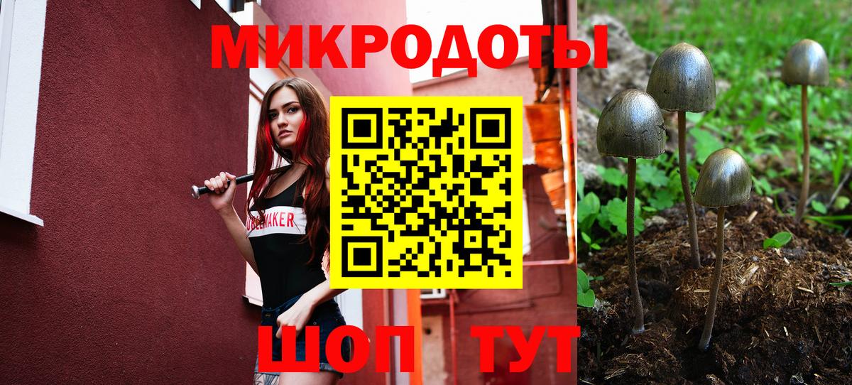 Псилоцибиновые грибы GOLDEN TEACHER Чистополь